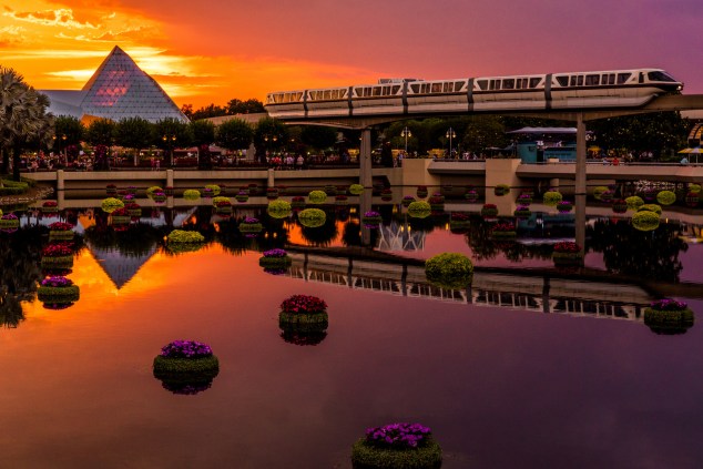 Purple and (Gold) from Twilight Hours